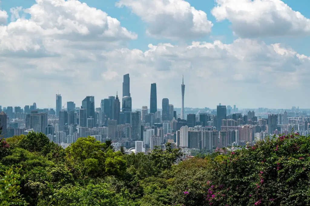 南京未迟智能科技出海服务项目技术架构与实施流程详解