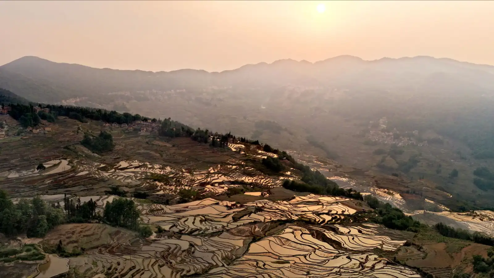 南京未迟智能科技2025出海技术服务体系全面升级解析